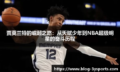 三亿体育官网平台