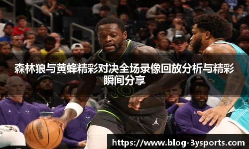 森林狼与黄蜂精彩对决全场录像回放分析与精彩瞬间分享