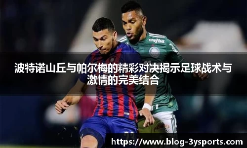 三亿体育