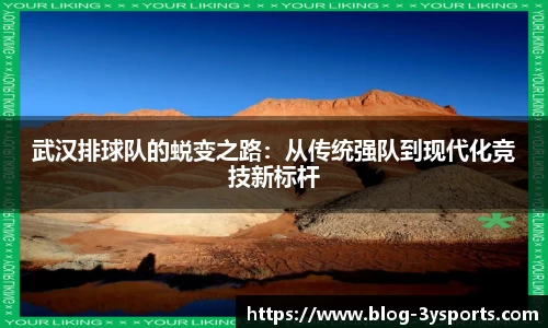 武汉排球队的蜕变之路:从传统强队到现代化竞技新标杆