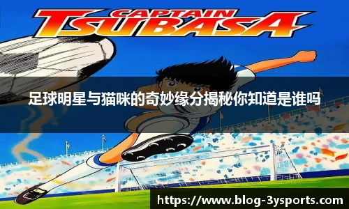 三亿体育官网投注