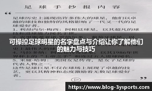 三亿体育官网平台